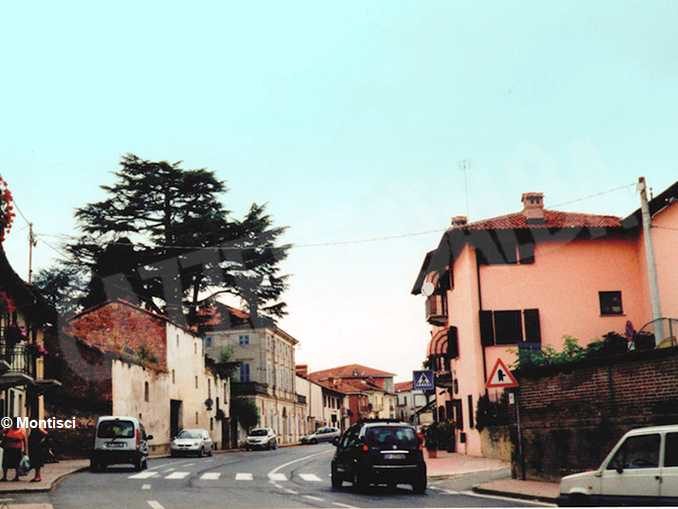 È stato abbattuto il secolare cedro del Libano della villa di via Bonissani 1