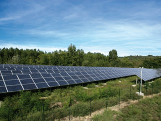 Egea accende l'energia verde