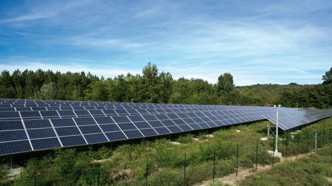 Egea accende l'energia verde