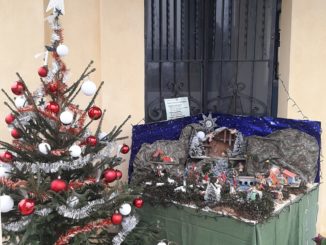 Montaldo Roero: in frazione Tarditi gli abitanti realizzano albero e presepe