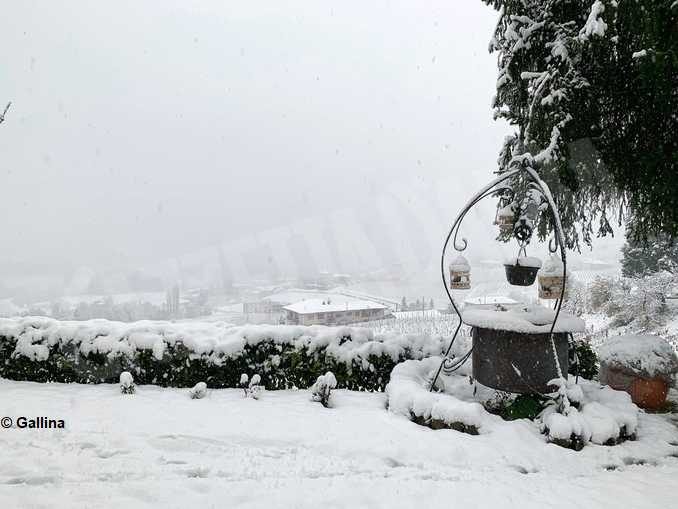 Le foto della prima nevicata stagionale 10