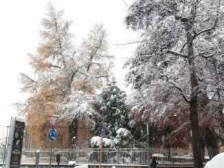 Le foto della prima nevicata stagionale 1