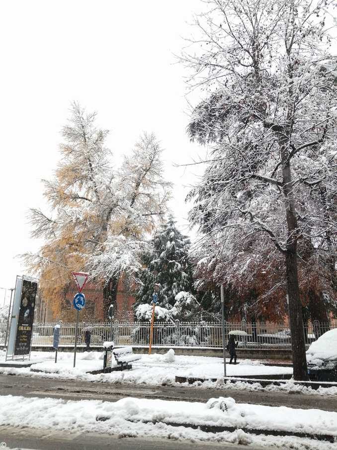 Le foto della prima nevicata stagionale 1