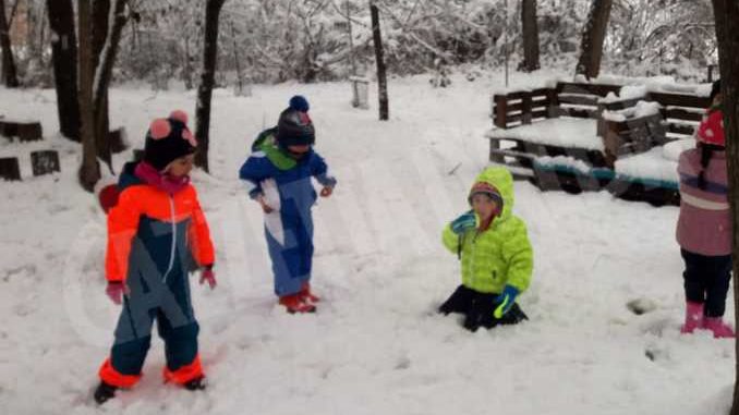 Le foto della prima nevicata stagionale 13