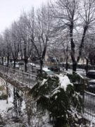 Il pruneto del santuario Madonna dei fiori saluta la neve che scende 1