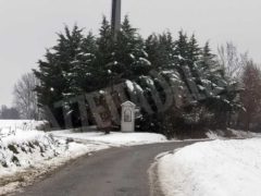 Le foto della prima nevicata stagionale 15