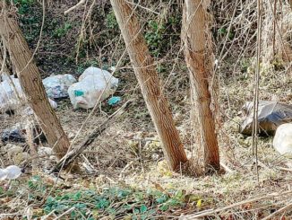 Sulla strada da Vezza a San Rocco scoperta l’ennesima discarica abusiva