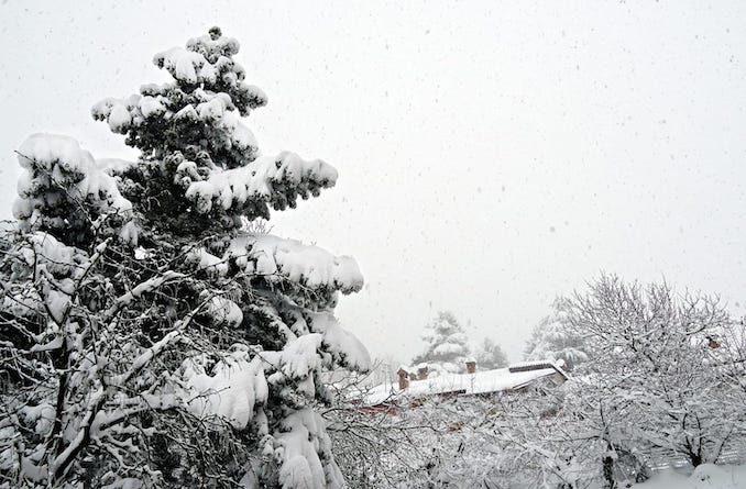 Le fotografie della prima neve del 2021 42