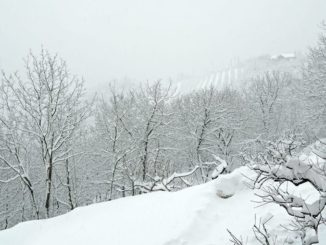 Le fotografie della prima neve del 2021 41