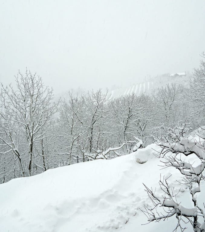 Le fotografie della prima neve del 2021 41