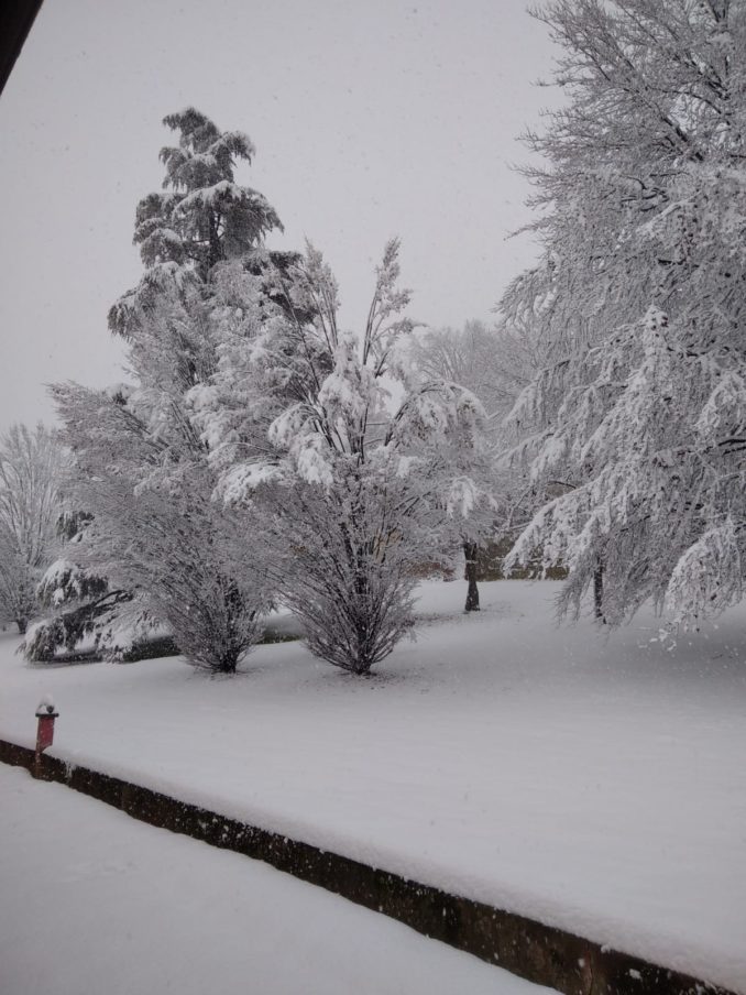 Le fotografie della prima neve del 2021 83