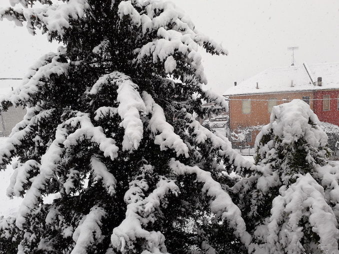 Le fotografie della prima nevicata del 2021 3