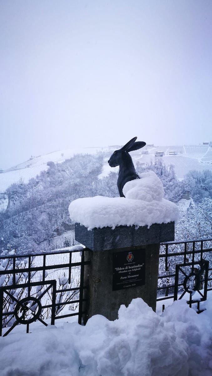 Le fotografie della prima neve del 2021 69