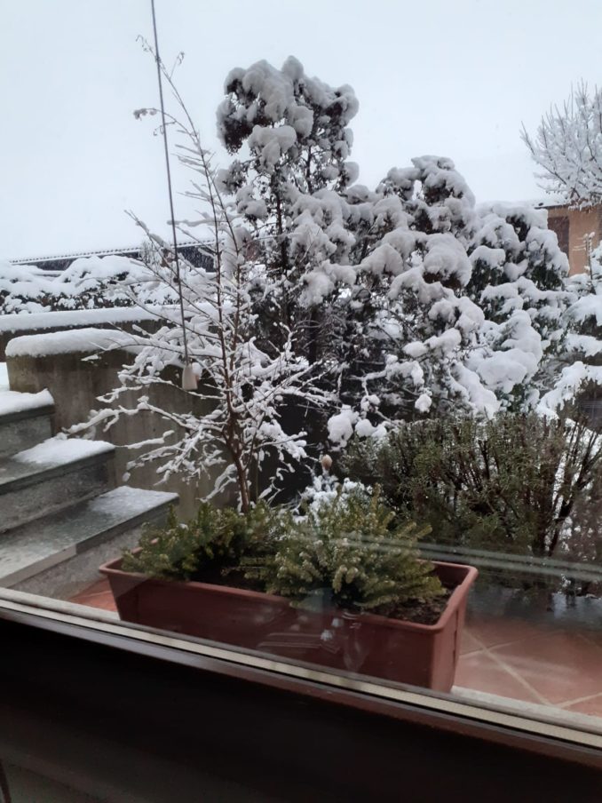 Le foto della prima nevicata del 2021