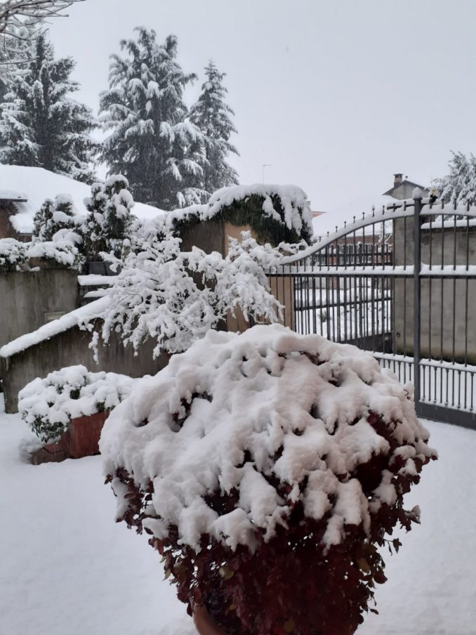 Le foto della prima nevicata del 2021 1