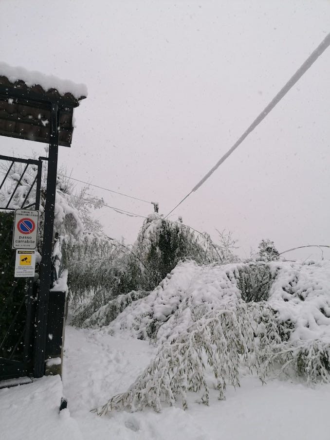 Le fotografie della prima neve del 2021 7