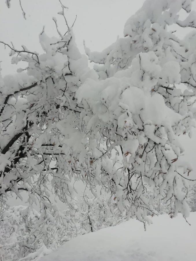 Le fotografie della prima neve del 2021 3