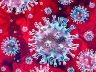 Coronavirus: in Piemonte in calo il tasso di positività (5,2%) e i ricoveri 1