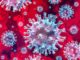 Coronavirus: in Piemonte in calo il tasso di positività (5,2%) e i ricoveri 1