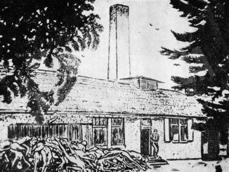 Giornata della memoria: riflettere senza strumentalizzazioni