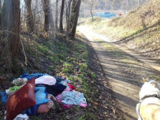 Baldissero d'Alba, discariche abusive su strada San Biagio-Cologne