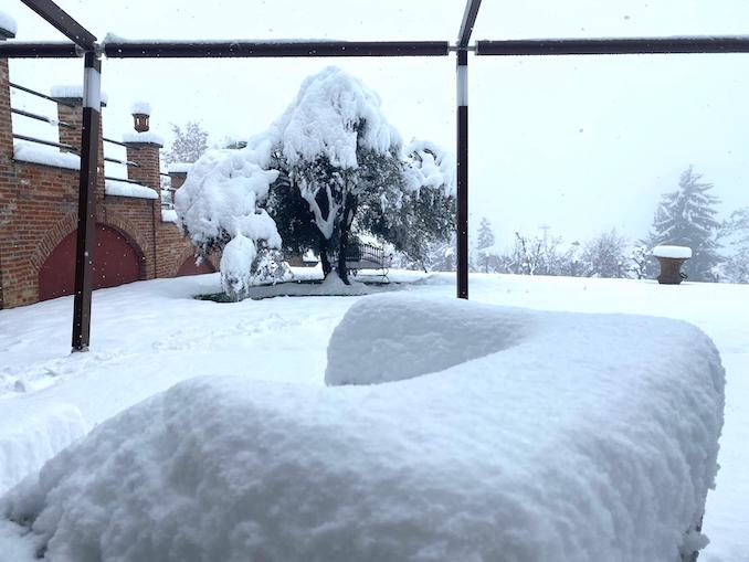 Le fotografie della prima neve del 2021 61