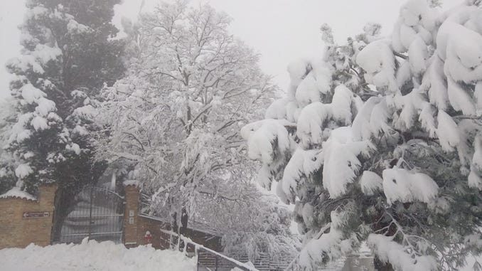 Le fotografie della prima neve del 2021 51