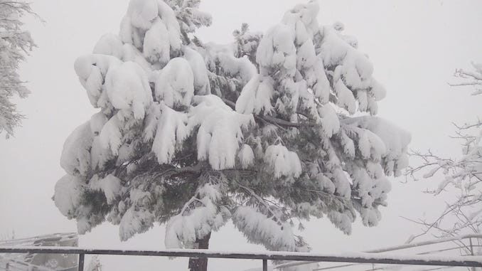 Le fotografie della prima neve del 2021 50