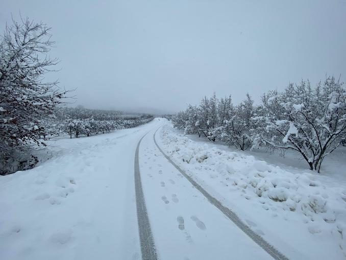 Le fotografie della prima neve del 2021 63