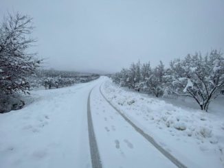 Le fotografie della prima neve del 2021 56