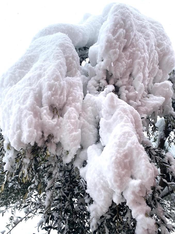 Le fotografie della prima neve del 2021 66