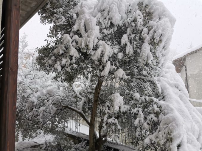 Le foto della prima nevicata del 2021 2