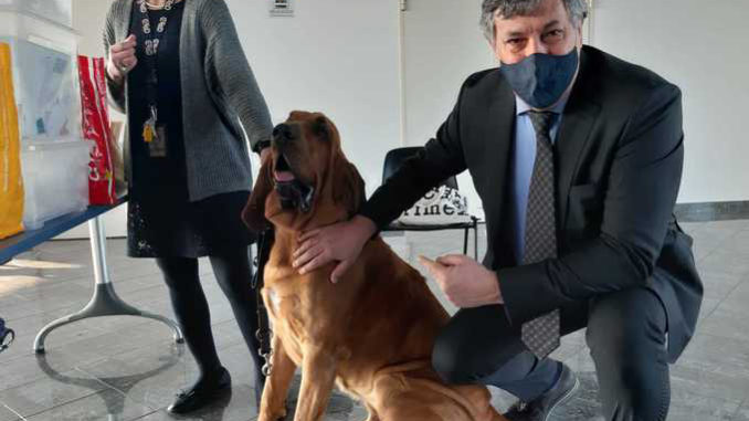 Covid, Icardi: «l'utilizzo dei cani addestrati per individuare viaggiatori con il Covid può avere sviluppi»