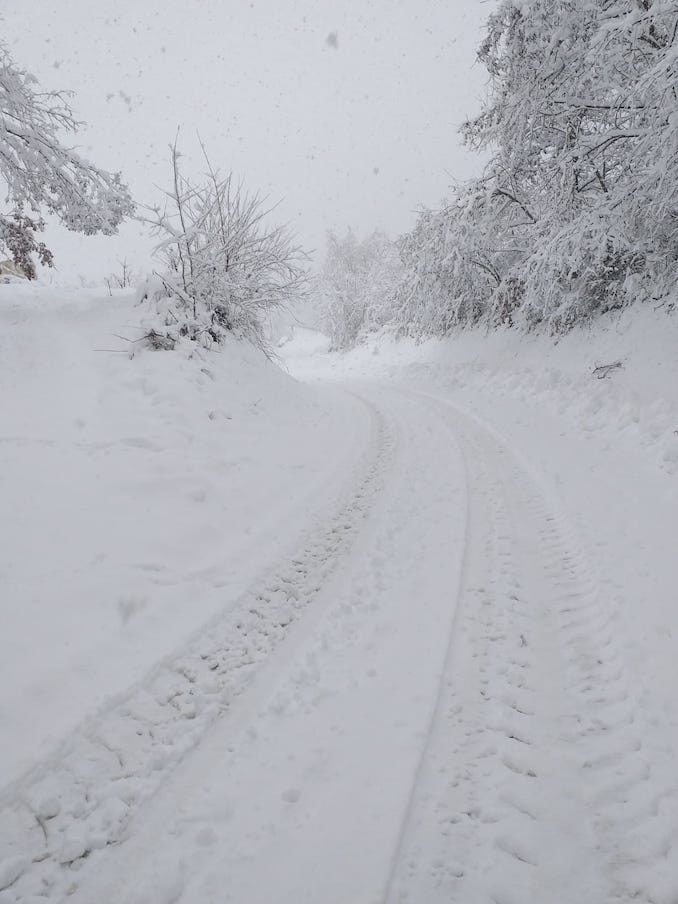 Le fotografie della prima neve del 2021 27