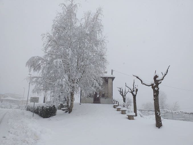 Le fotografie della prima neve del 2021 25