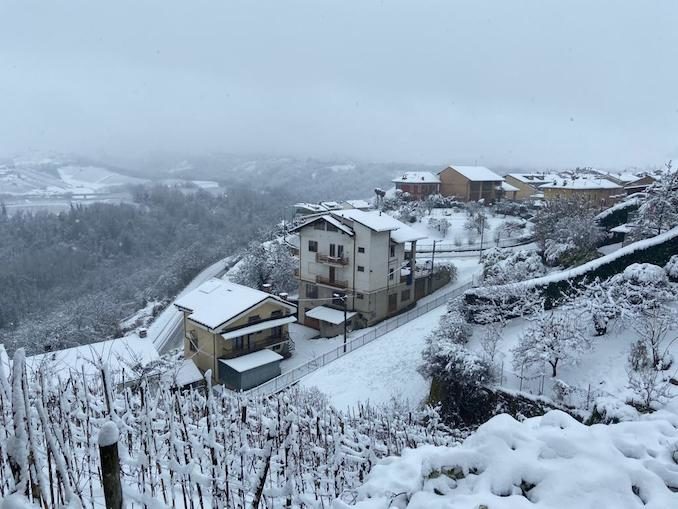 Le fotografie della prima neve del 2021 38