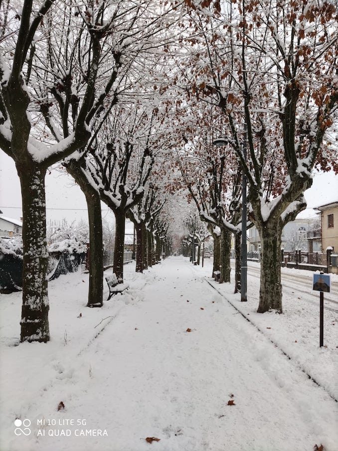 Le fotografie della prima neve del 2021 34