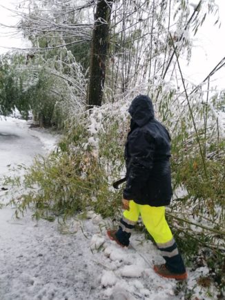 A Corneliano una nevicata fitta inaugura il nuovo anno, la Protezione civile interviene 1