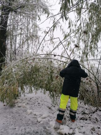 A Corneliano una nevicata fitta inaugura il nuovo anno, la Protezione civile interviene 3