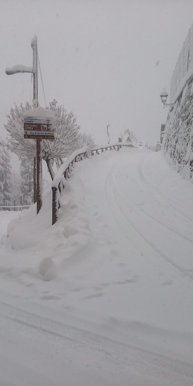 Le fotografie della prima nevicata del 2021 4