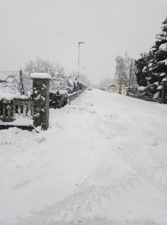 Le fotografie della prima neve del 2021 84