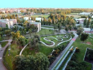 All’ospedale Alba-Bra giardini per star bene 2