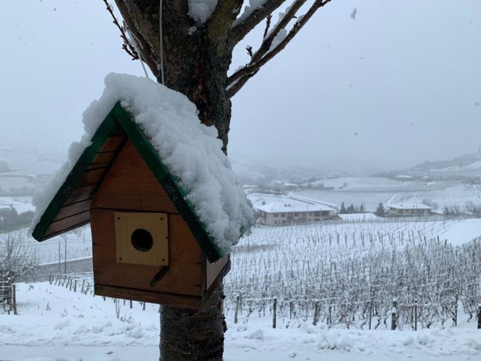 Le foto della prima nevicata del 2021 10