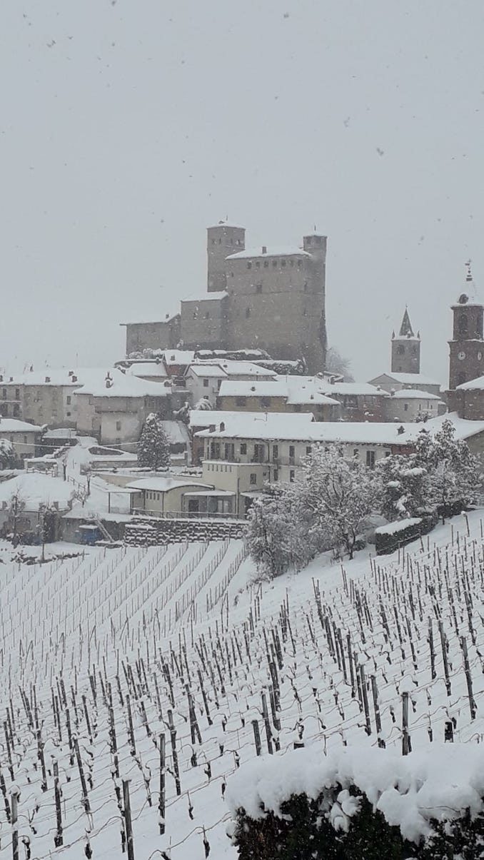 Le fotografie della prima neve del 2021 79