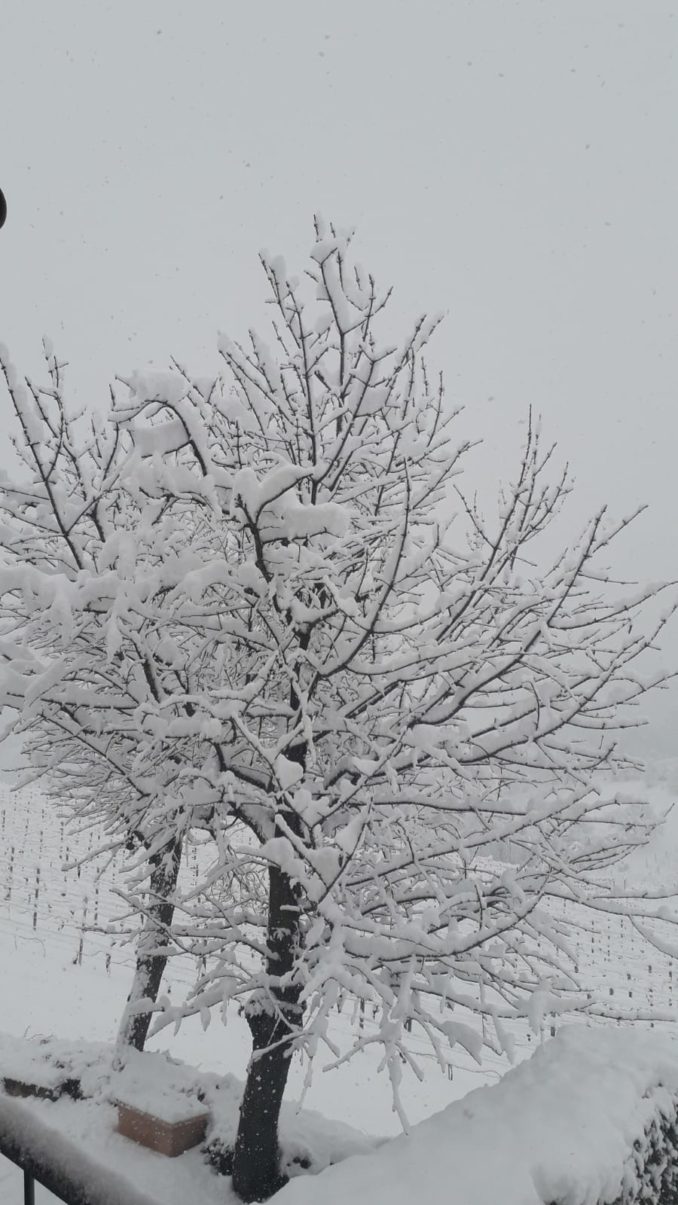 Le foto della prima nevicata del 2021 7