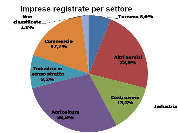 Camera di commercio Cuneo, in un anno perse 408 imprese 1