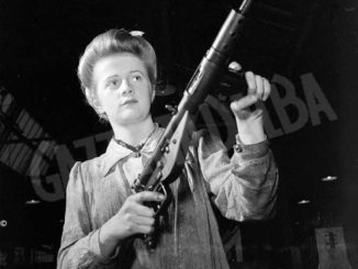 Alla ricerca delle armi della Seconda guerra mondiale