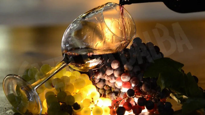 Vino: cresce Consorzio Roero, 233 soci, 7 mln di bottiglie