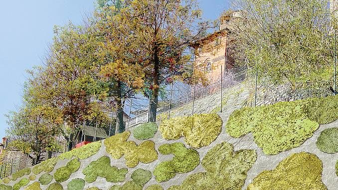 Santa Vittoria: il camouflage in centro sarà ispirato al botanico Bertero