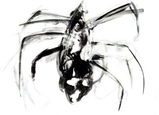 Pubblicato il nuovo video dell'artista albese Luca Giordana, "Ragno di Vetro Nero" 2